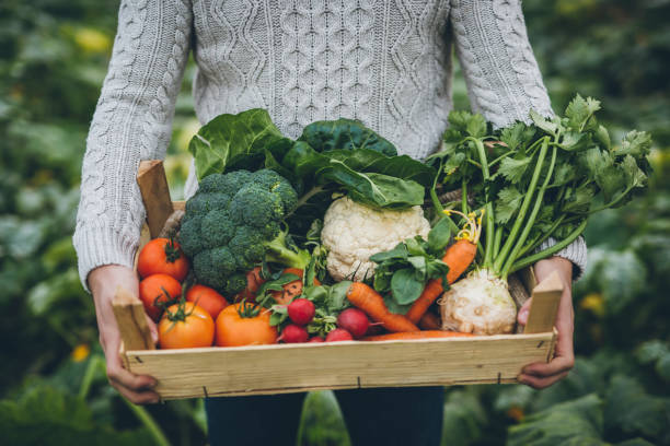 how do you identify edible plants