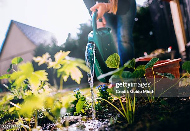 soil drainage