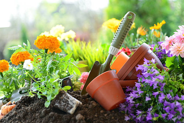 How to start container gardening for beginners