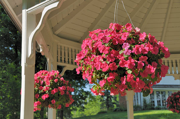 where to buy hanging pots