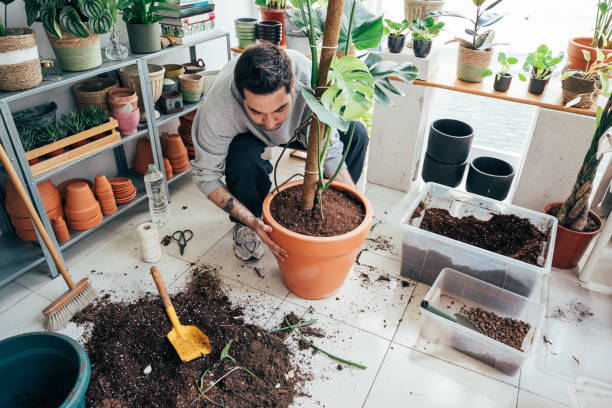 how to make potted plants retain water