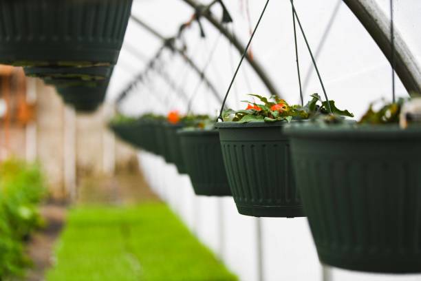 how to use hanging pots