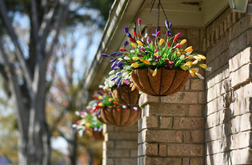 hanging baskets for plants