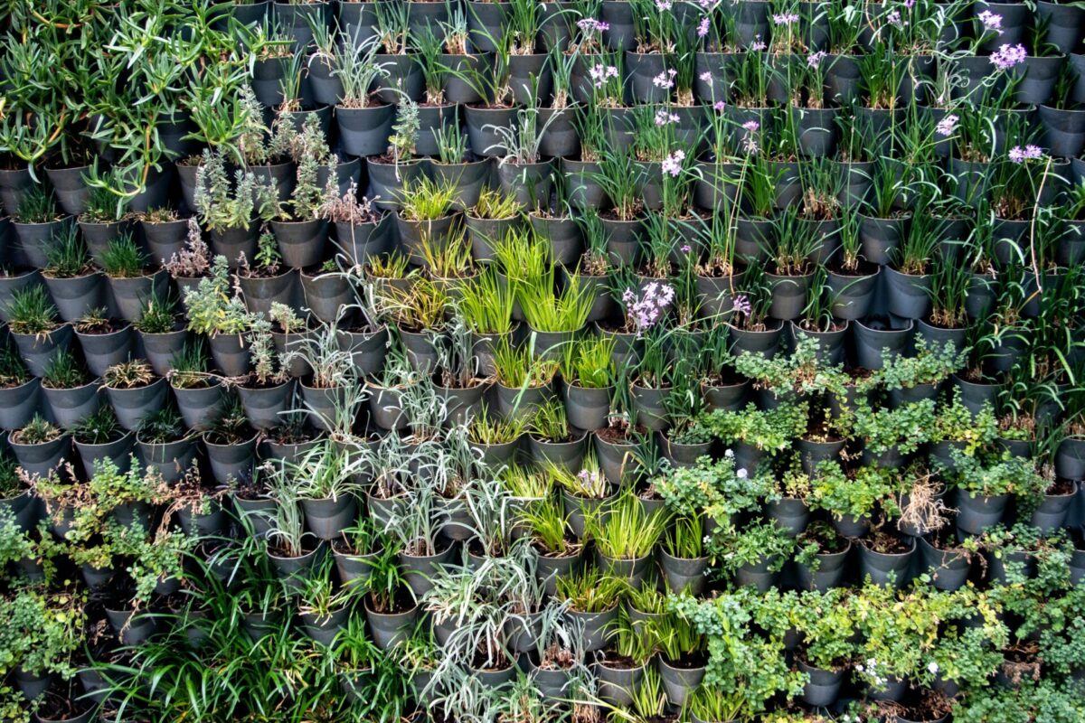 vertical planters