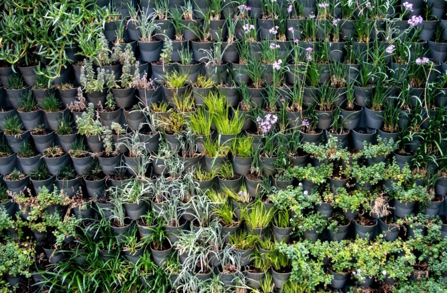 vertical planters