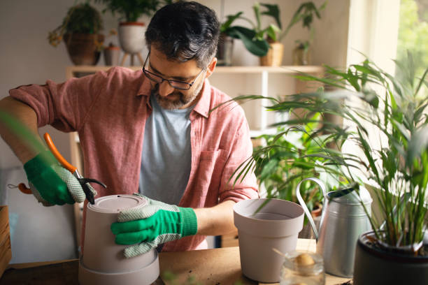 do planters need drainage holes