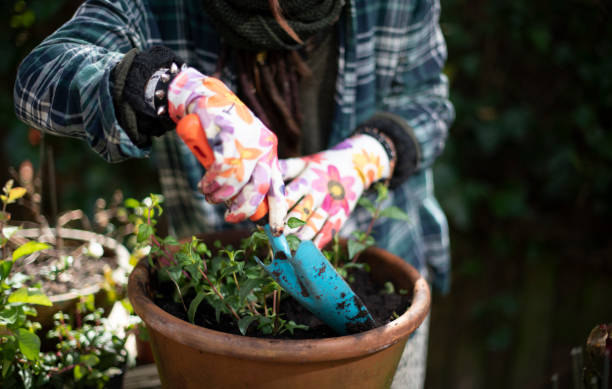 best hand trowel for gardening