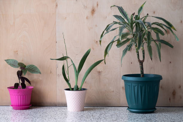 are plastic pots good for plants