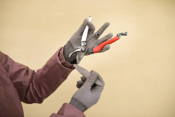 do pruning shears need sharpening