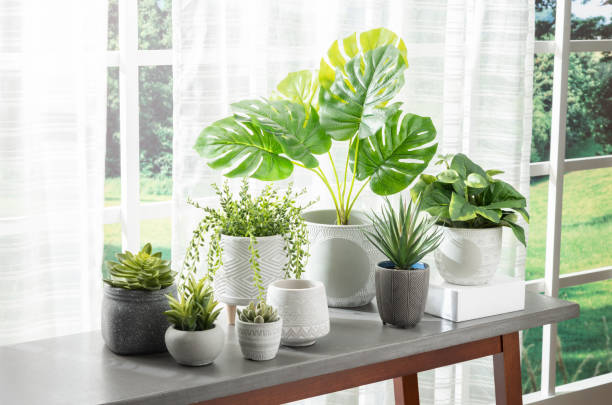 are ceramic pots good for plants