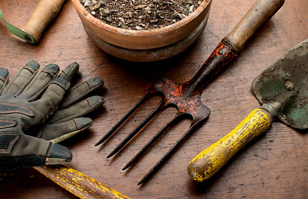 what are the 20 most common gardening tools