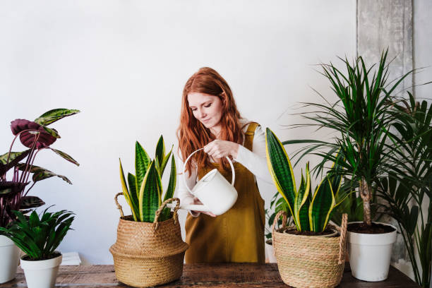 garden watering techniques