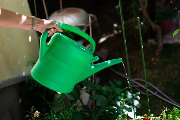 what are the best watering cans