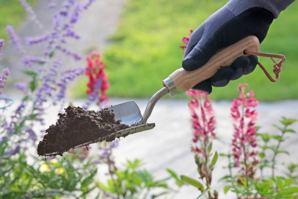 soil scoop with handle