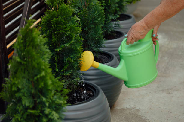 how to clean watering can