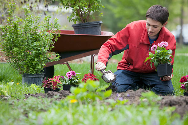 how to use hand trowel