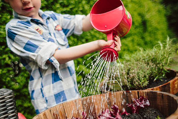 what are the best watering cans