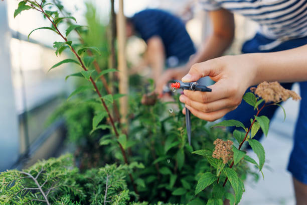 benefits of drip irrigation system