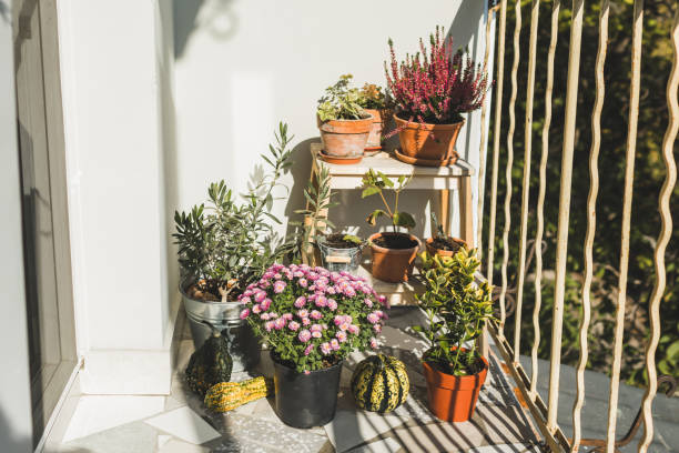 best balcony direction for sunlight