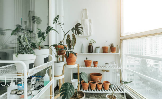 how to maximize sunlight in a balcony