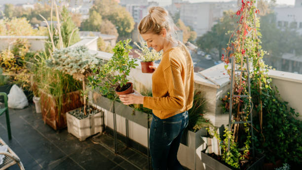 how to set up balcony garden