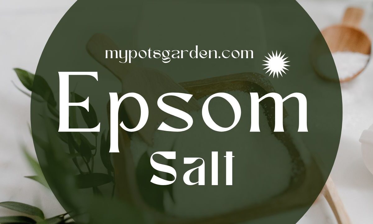 Epsom salt