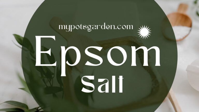 Epsom salt