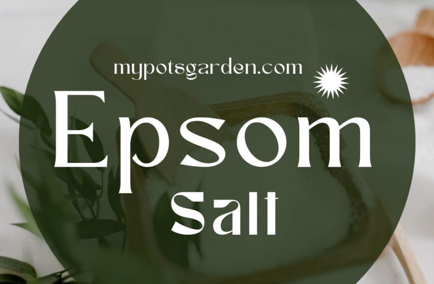 Epsom salt