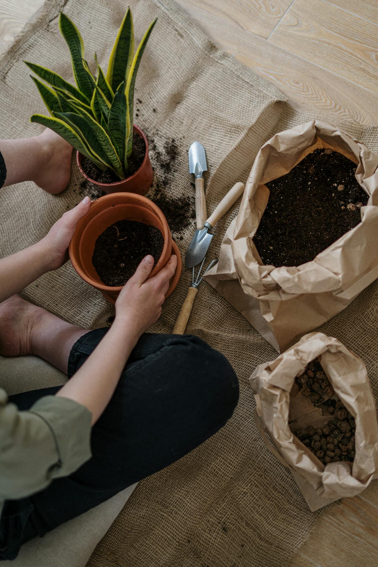 Essential gardening tools for container gardening beginners"
