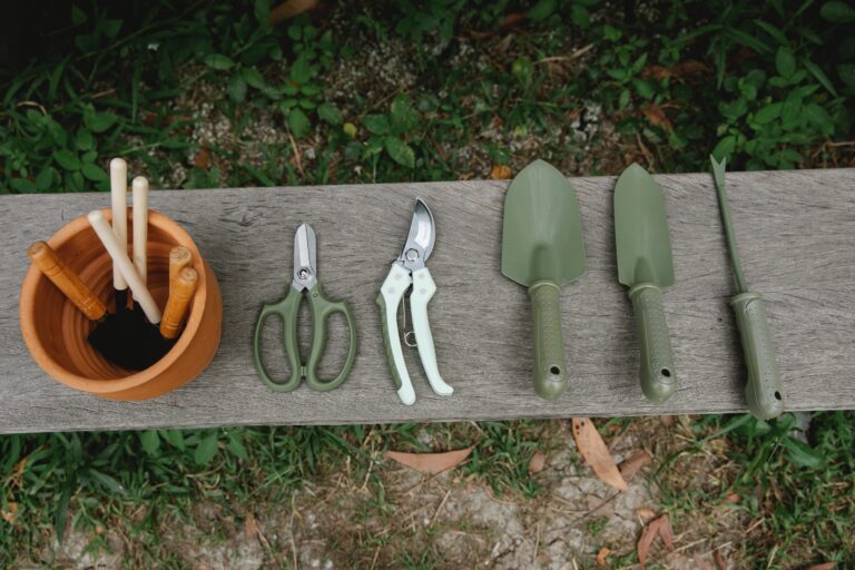 Essential Gardening Tools for Beginners – Pruners, Trowels, Dibbers & More