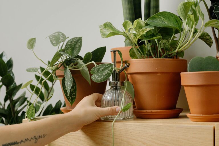“A hand holding a glass plant mister beside healthy potted houseplants in terracotta pots, highlighting common mistakes with liquid fertilizer use in indoor gardening.”