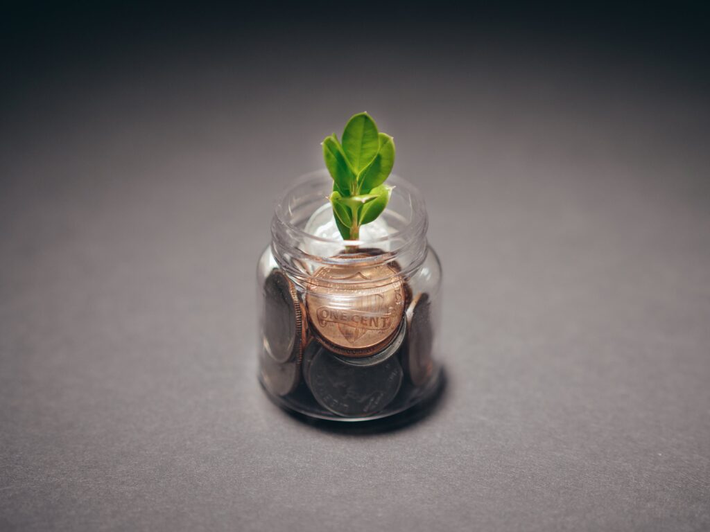 A small green plant sprouting from a jar filled with coins, symbolizing budget-friendly gardening and affordable, beginner-proof plant care methods