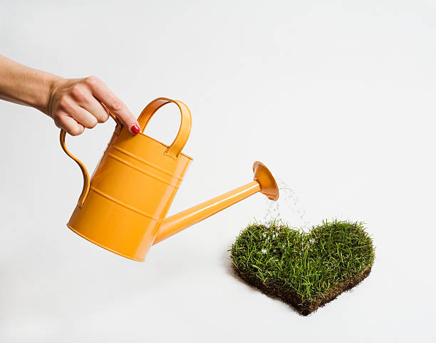 Hand watering heart-shaped patch of grass with orange watering can, symbolizing balanced water and sunlight care for leafy greens in containers.