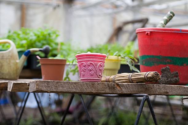 Assorted plastic pots, watering can, and gardening tools on a wooden table, showing the importance of choosing the right container size for plants.