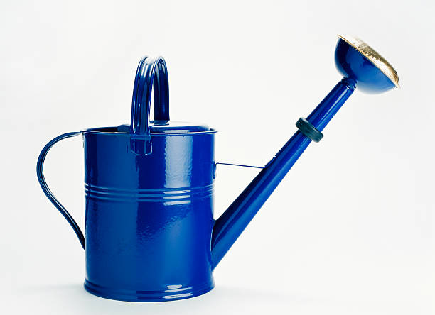 Blue metal watering can with long spout, a budget-friendly gardening tool that makes watering plants easier