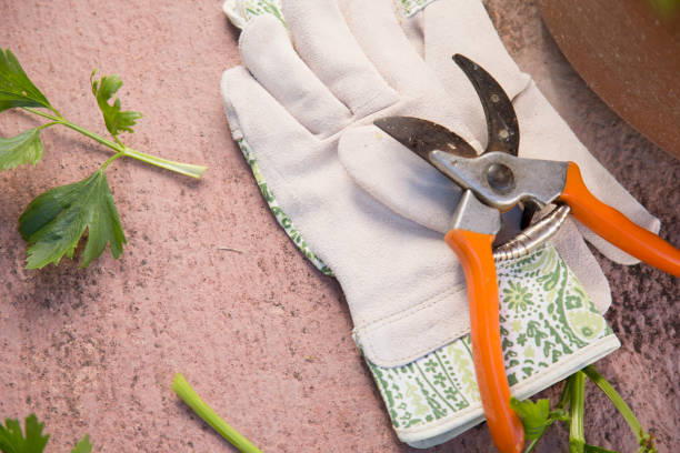 Durable garden pruners with orange handles resting on gloves, essential tool for container gardening and plant care that lasted over five years.