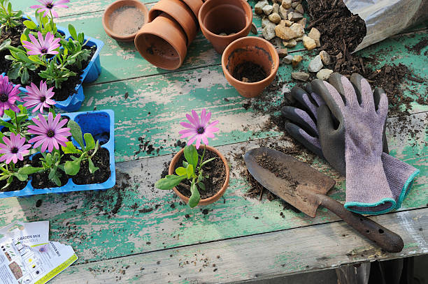 "Budget-friendly container gardening fixes in India—DIY soil mix, durable tools, and simple watering hacks for balcony and terrace gardens"