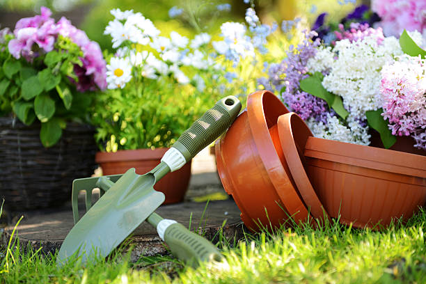 Plastic garden pots, hand tools, and colorful flowers showing why summer heat stress impacts container plants and soil health