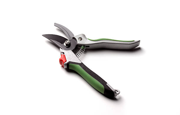 Close-up of sharp garden pruning shears with green and black handle on white background, ideal tool for pruning container plants