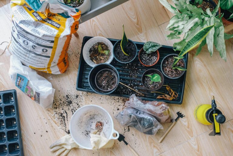 Essential container gardening tools and supplies including pots, soil mix, gloves, mini rake, and spray bottle for successful indoor plant care.