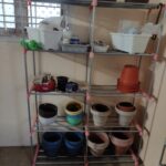 PICS (702)