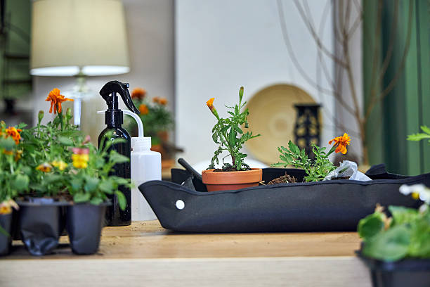 Gardener avoiding soil mess and repotting mistakes by using a waterproof gardening mat for cleaner, easier, and stress-free container gardening.