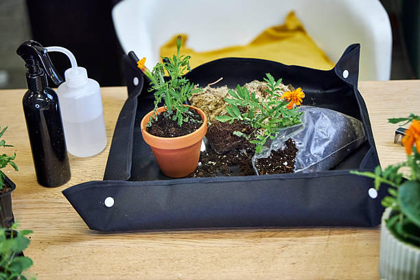 Best gardening mat options for small-space gardeners to protect floors, reduce mess, and make container gardening easier and more affordable.