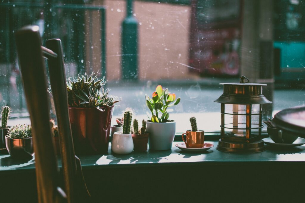 A cozy indoor windowsill with sunlight shining on potted succulents and cacti arranged neatly, showing ideal plant placement for bright indoor corners in Indian homes.