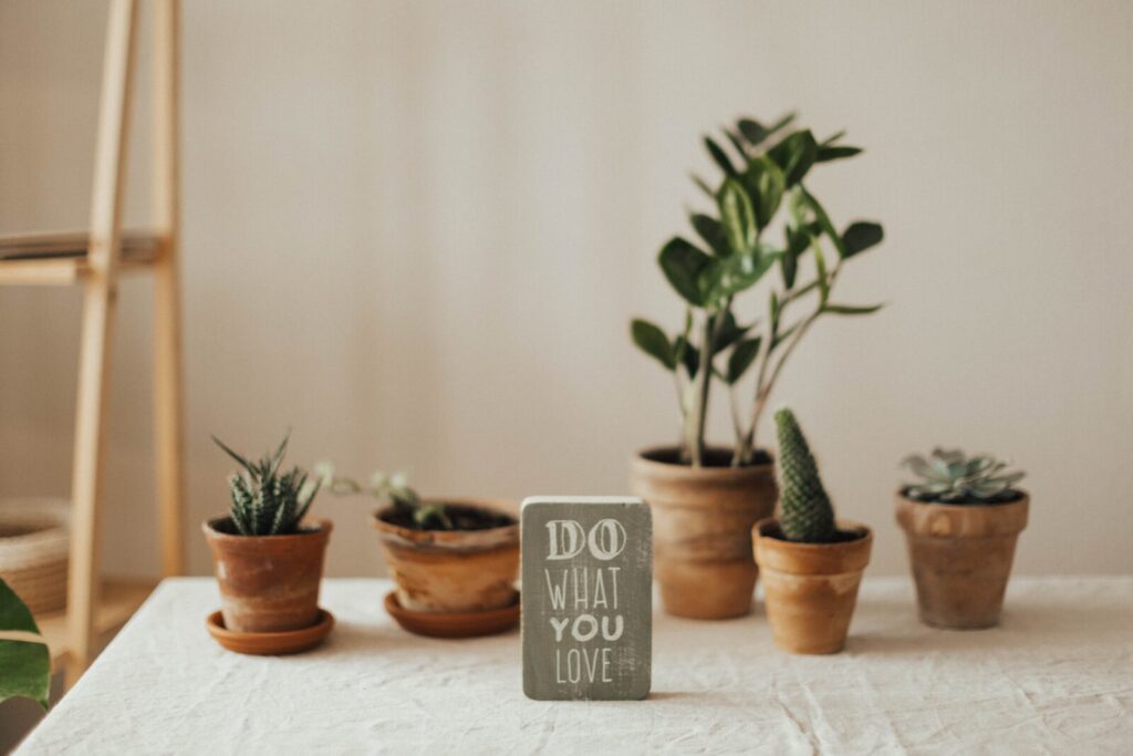 Low light indoor plants like ZZ plant, cactus, and succulents arranged in terracotta pots on a table beside a sign saying ‘Do What You Love’, showing a realistic container gardening setup in natural light.