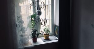 Indoor balcony plants placed on a winter windowsill with soft natural light, showing how protecting potted plants from cold drafts and low temperatures helps prevent winter damage.