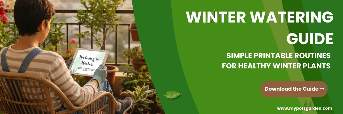 Winter Watering Guide - Printable