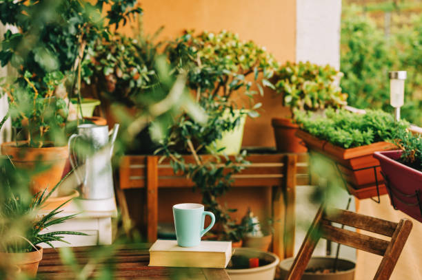 Sunny balcony garden with hardy potted plants, railing planters, and wooden stands — showing heat-tolerant plants that thrive in Indian summer conditions.