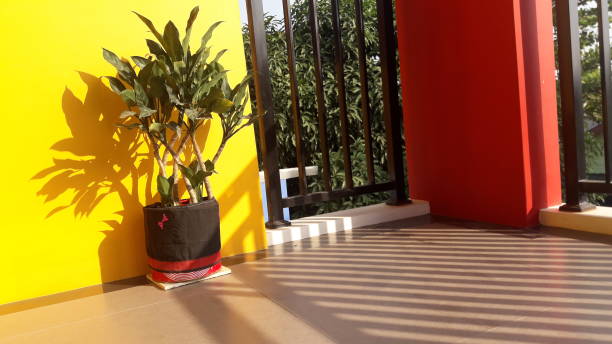 Grow bag with a leafy plant placed on a bright balcony corner—an example of affordable balcony garden pots and beginner-friendly low-cost setups.