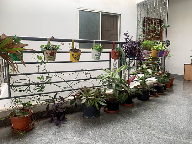 Real balcony garden setup with railing planters and potted plants showing practical, functional design for small-space balcony gardening in India.